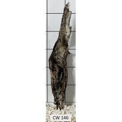 Corbo wood 146
