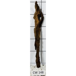 Corbo wood 148