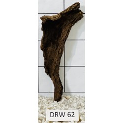 Dragonwood 62