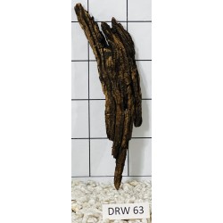 Dragonwood 63
