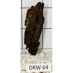 Dragonwood 64