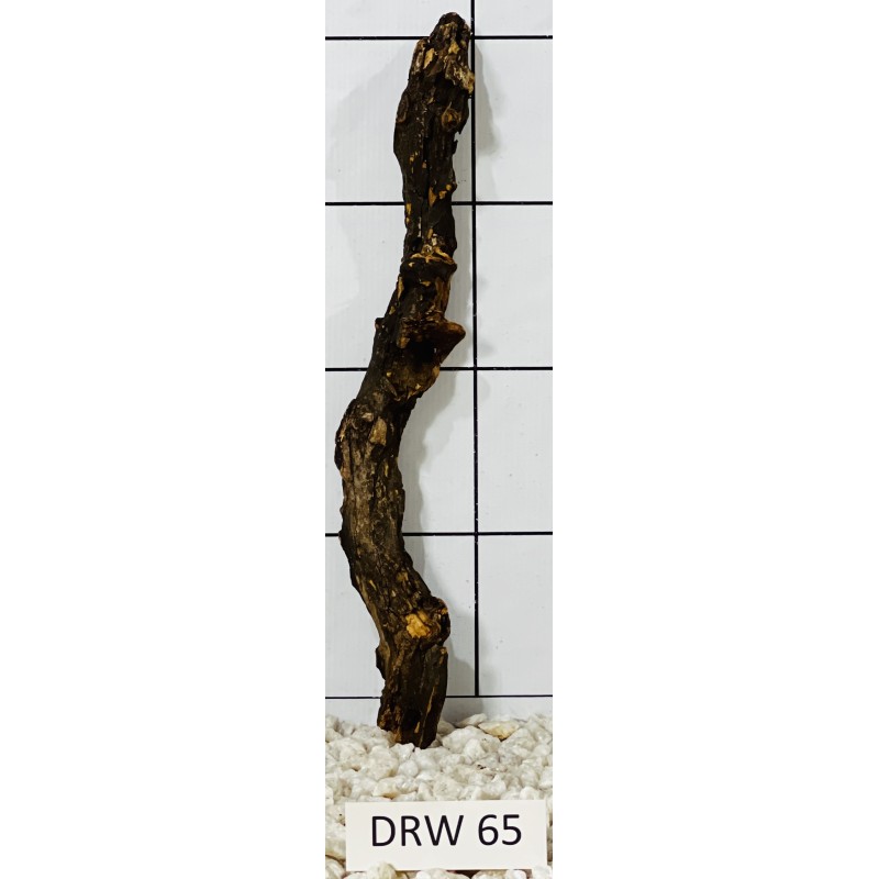 Dragonwood 65