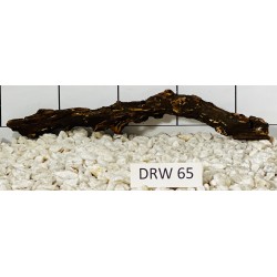 Dragonwood 65