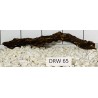Dragonwood 65