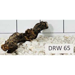 Dragonwood 65