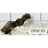 Dragonwood 65