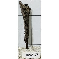 Dragonwood 67