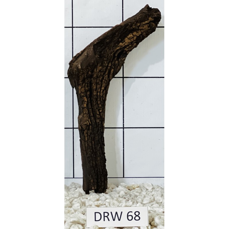 Dragonwood 68