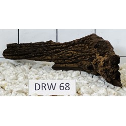 Dragonwood 68