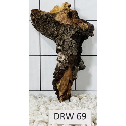 Dragonwood 69