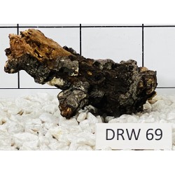 Dragonwood 69