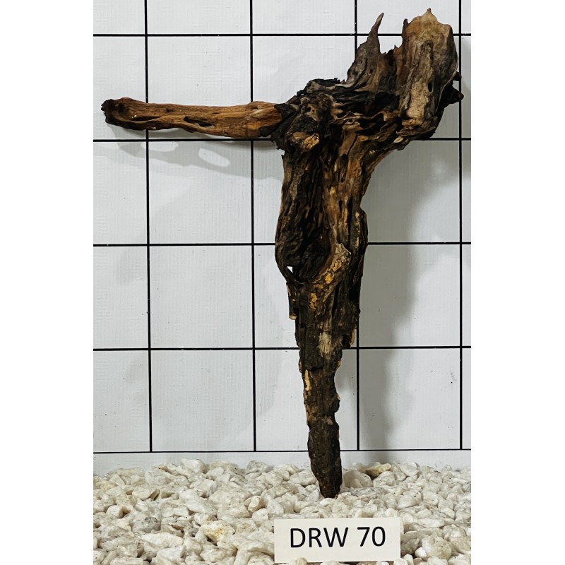 Dragonwood 70