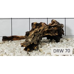 Dragonwood 70