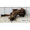 Dragonwood 70