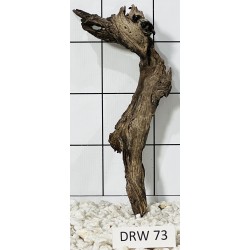 Dragonwood 73