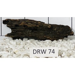 Dragonwood 74