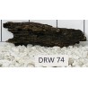 Dragonwood 74