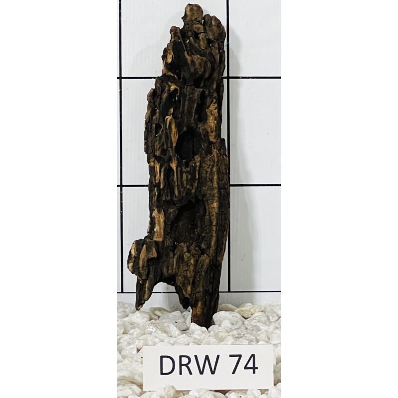 Dragonwood 74