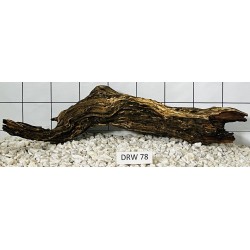 Dragonwood 78