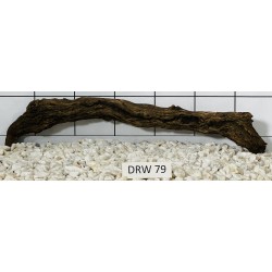 Dragonwood 79