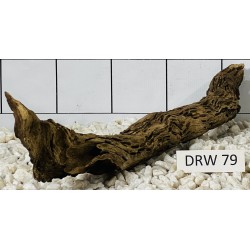 Dragonwood 79