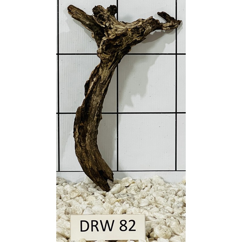 Dragonwood 82