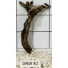 Dragonwood 82