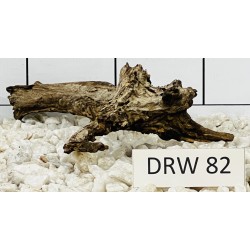 Dragonwood 82