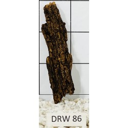 Dragonwood 86
