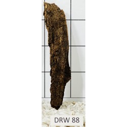 Dragonwood 88
