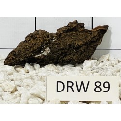 Dragonwood 89