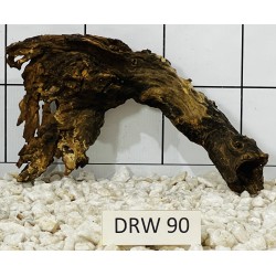 Dragonwood 90