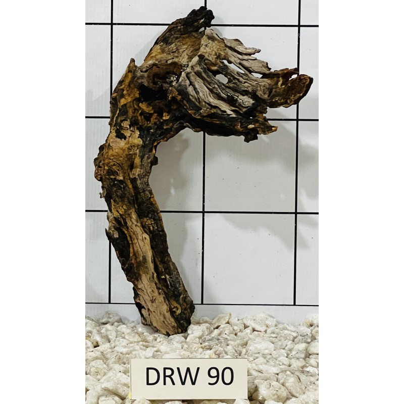 Dragonwood 90