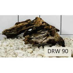 Dragonwood 90