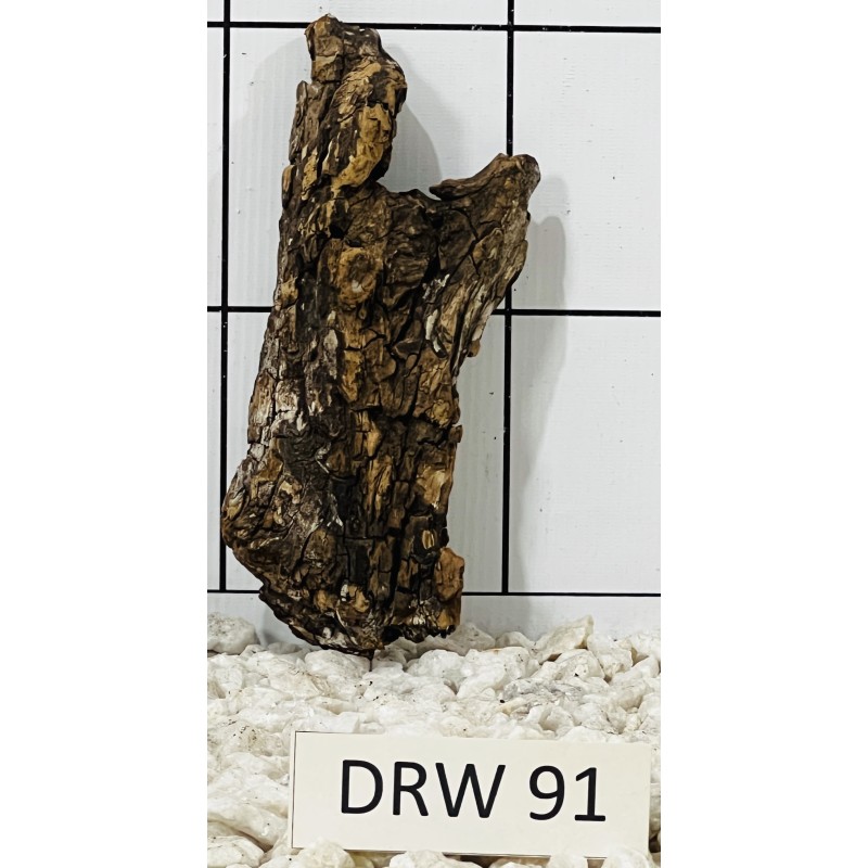 Dragonwood 91
