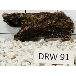 Dragonwood 91