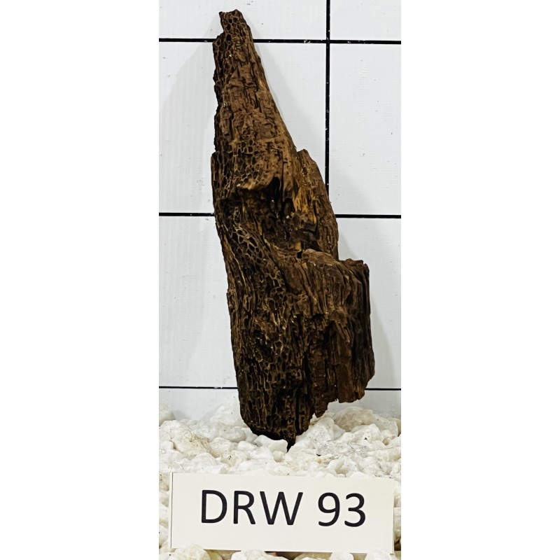 Dragonwood 93