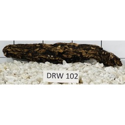 Dragonwood 102