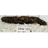 Dragonwood 102