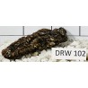 Dragonwood 102