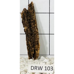 Dragonwood 103