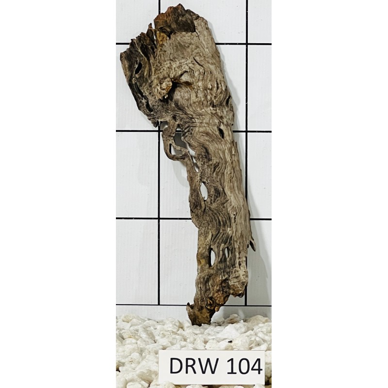 Dragonwood 104
