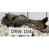 Dragonwood 104