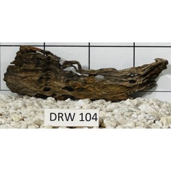 Dragonwood 104