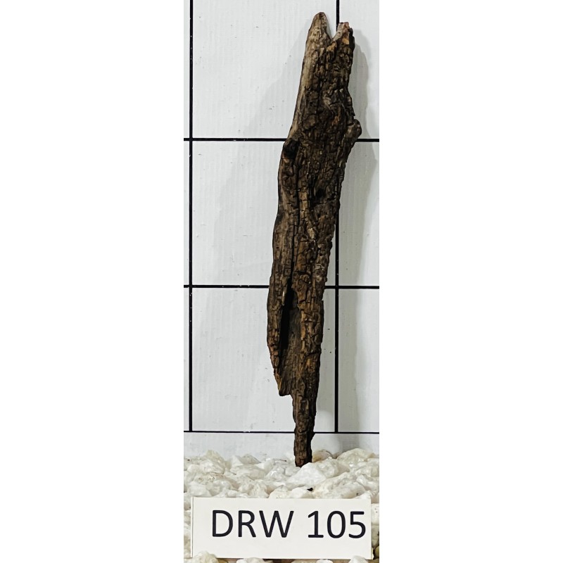 Dragonwood 105