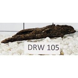 Dragonwood 105
