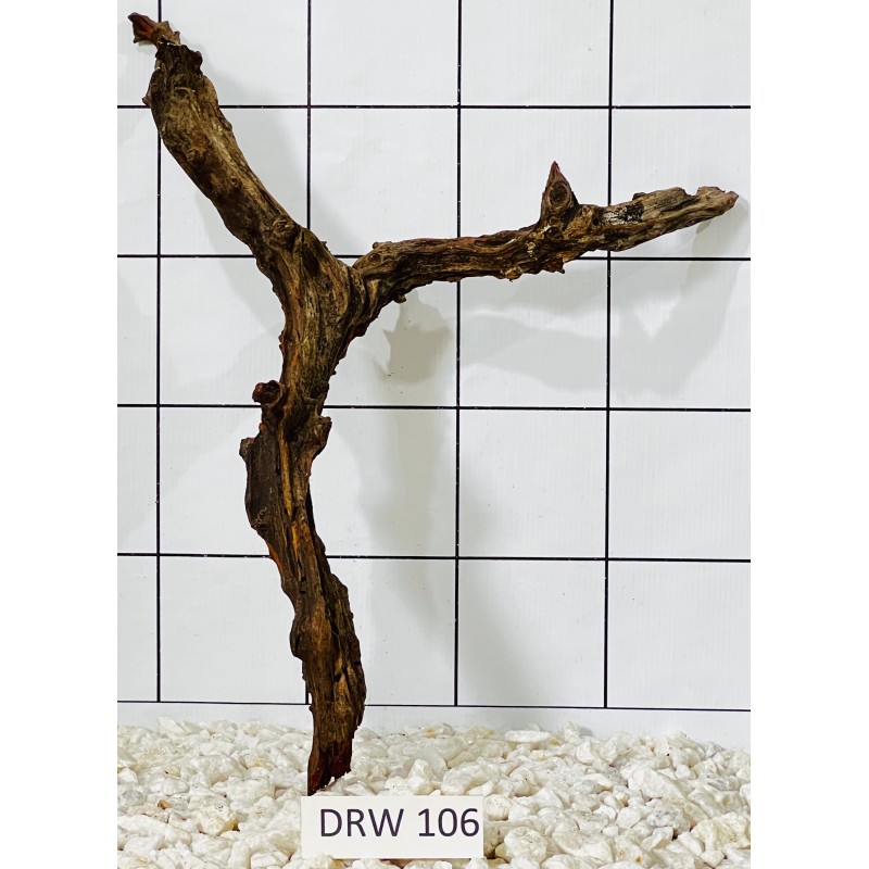 Dragonwood 106