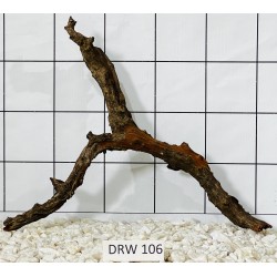 Dragonwood 106