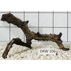 Dragonwood 106