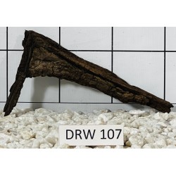 Dragonwood 107
